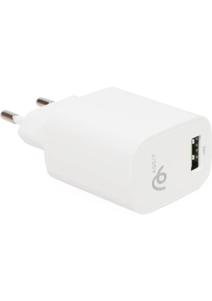 Aggiy Ag-28 12W Hızlı Şarj Aleti USB To Micro USB
